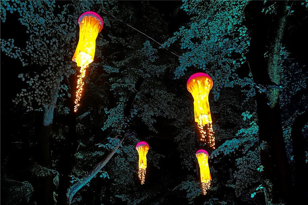 Lichtkunst