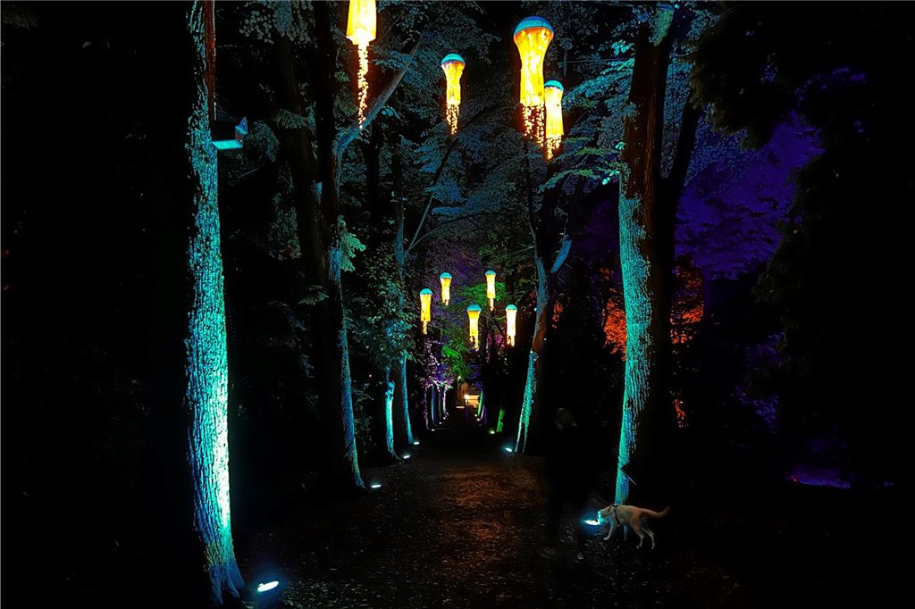 Lichtkunst