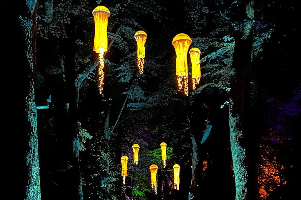 Lichtkunst