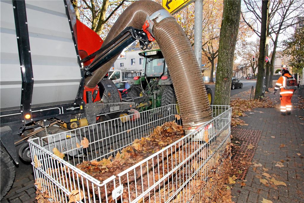 Mehr Laubkörbe zur Entlastung der Bürger gefordert Ein Fahrzeug mit Saugapparat leer einen Korb mit Laub am Straßenrand.