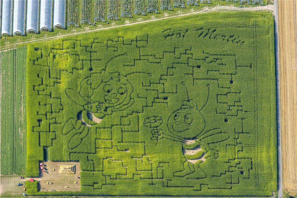 Luftbild, Wiese und Feld mit Muster und Kunstwerk Biene Maja und Willi Figuren, Hof Mertin Bönninghauser Straße, Formen und Farben, Hostedde, Dortmund, Ruhrgebiet, Nordrhein-Westfalen, Deutschland