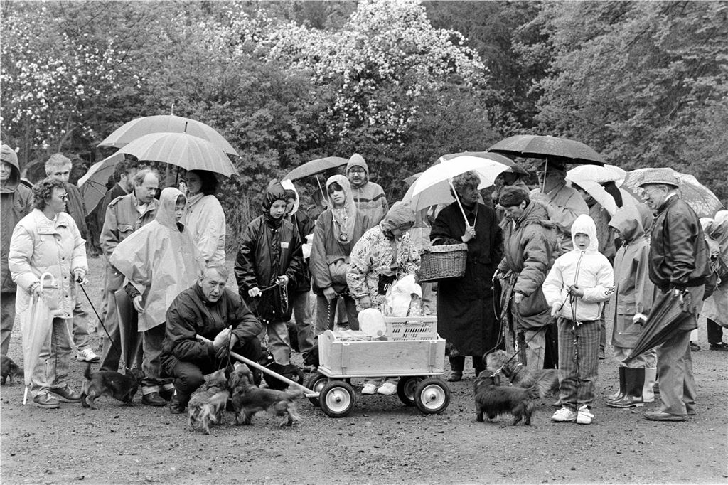 Maiwanderer in Lünen 1992.