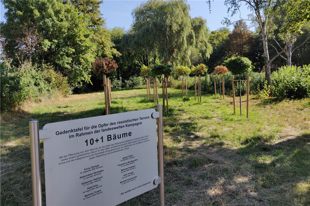 Wasser gegen die Hitze: Rettungsaktion für die Gedenkbäume im Kurpark Die 10+1 Gedenkbäume sehen teilweise ziemlich verkommen aus obwohl sich die Stadt wohl gekümmert hat.