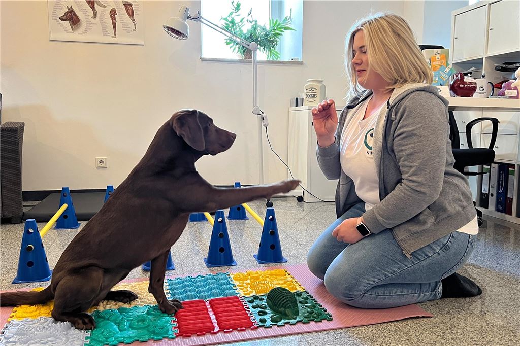 Physiotherapie für Hunde: Neue Praxis in Frömern eröffnet Ninja Bartkowiak kniet in ihrer Praxis vor einem Hund, der über Platten mit verschiedenen Untergründen läuft.