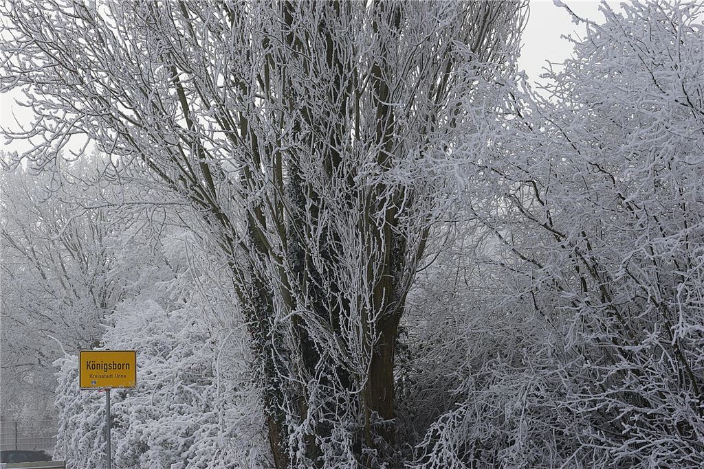Nachdem sich das Wetter am Sonntag von seiner besten Seite gezeigt hatte, wurde es nachmittags wieder neblig. Wir waren in Königsborn unterwegs.