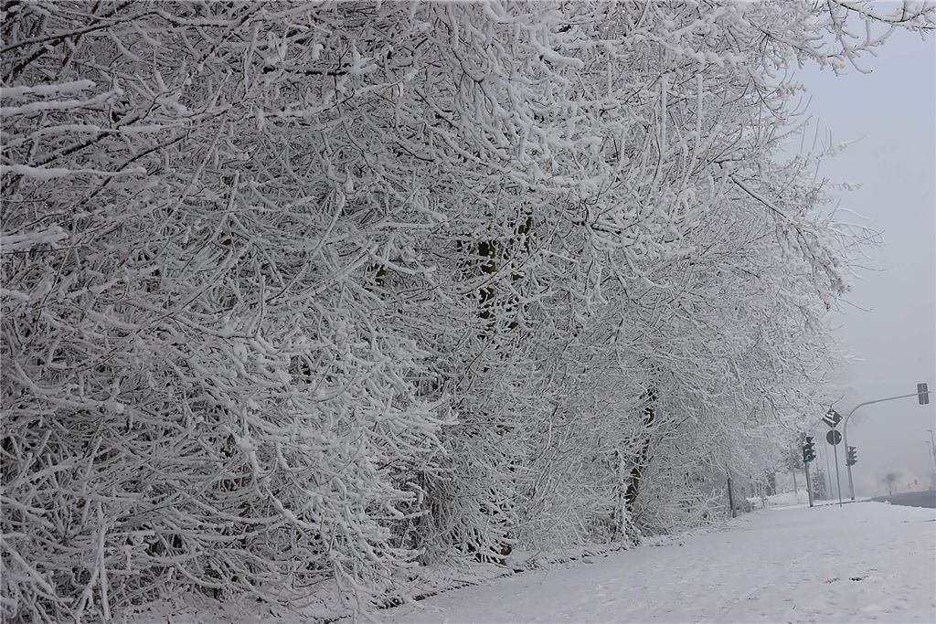 Nachdem sich das Wetter am Sonntag von seiner besten Seite gezeigt hatte, wurde es nachmittags wieder neblig. Wir waren in Königsborn unterwegs.