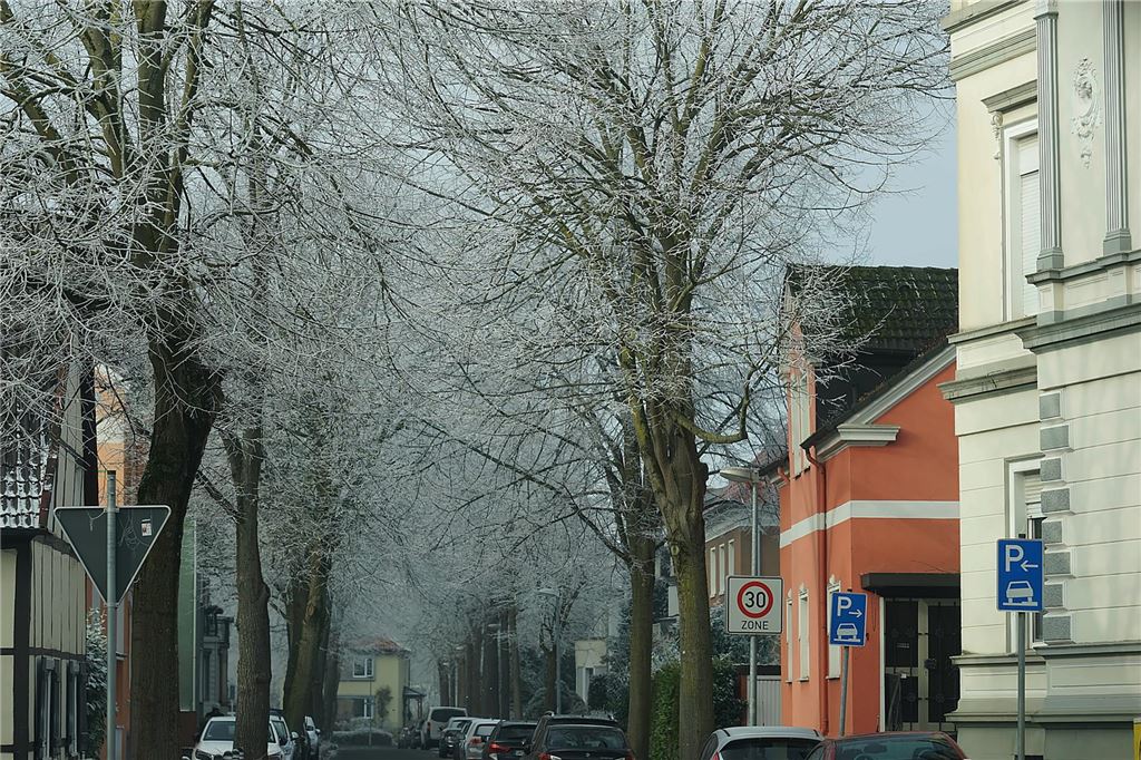 Nachdem sich das Wetter am Sonntag von seiner besten Seite gezeigt hatte, wurde es nachmittags wieder neblig. Wir waren in Königsborn unterwegs.