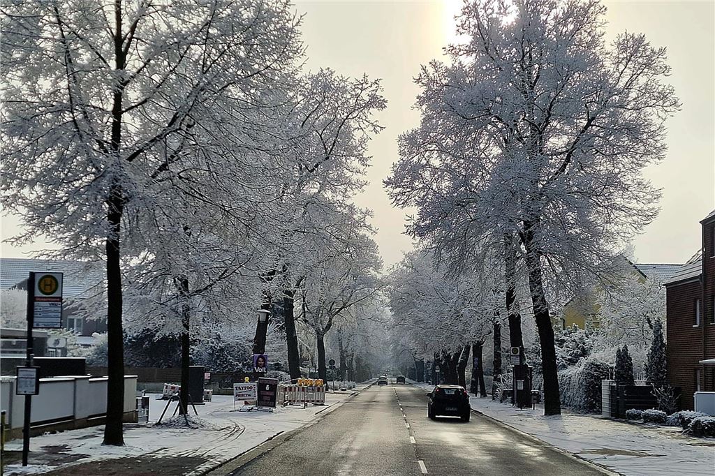 Nachdem sich das Wetter am Sonntag von seiner besten Seite gezeigt hatte, wurde es nachmittags wieder neblig. Wir waren in Königsborn unterwegs.