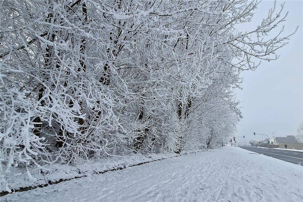 Nachdem sich das Wetter am Sonntag von seiner besten Seite gezeigt hatte, wurde es nachmittags wieder neblig. Wir waren in Königsborn unterwegs.