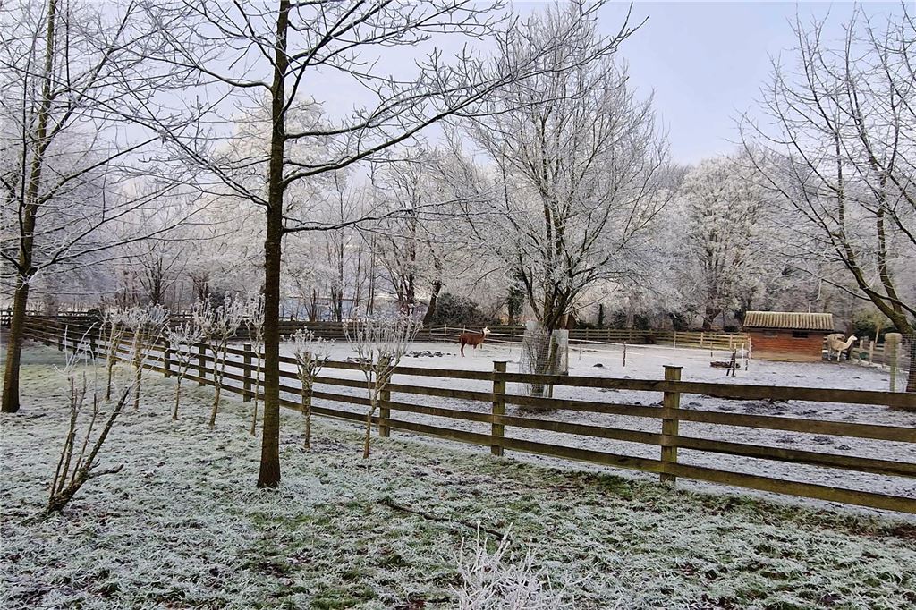 Nachdem sich das Wetter am Sonntag von seiner besten Seite gezeigt hatte, wurde es nachmittags wieder neblig. Wir waren in Königsborn unterwegs.