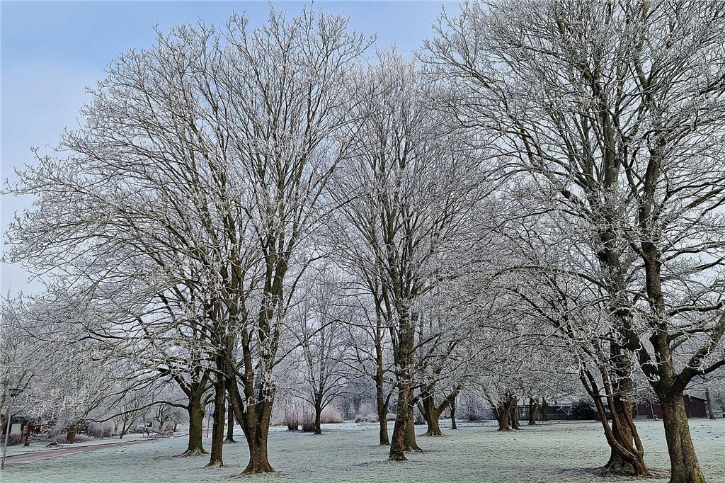 Nachdem sich das Wetter am Sonntag von seiner besten Seite gezeigt hatte, wurde es nachmittags wieder neblig. Wir waren in Königsborn unterwegs.