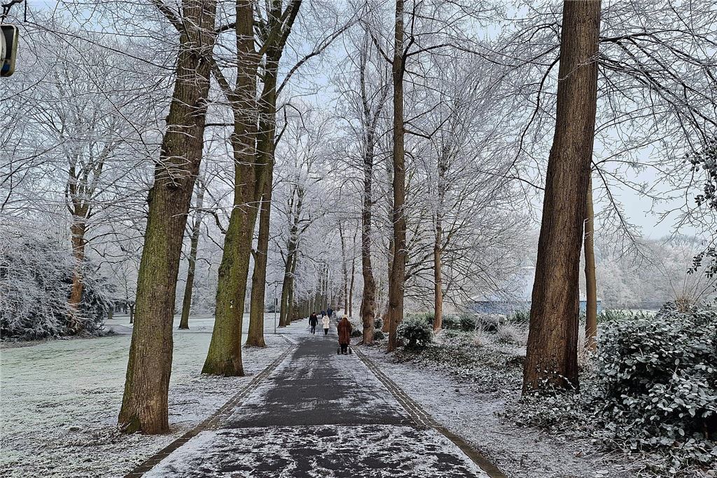 Nachdem sich das Wetter am Sonntag von seiner besten Seite gezeigt hatte, wurde es nachmittags wieder neblig. Wir waren in Königsborn unterwegs.