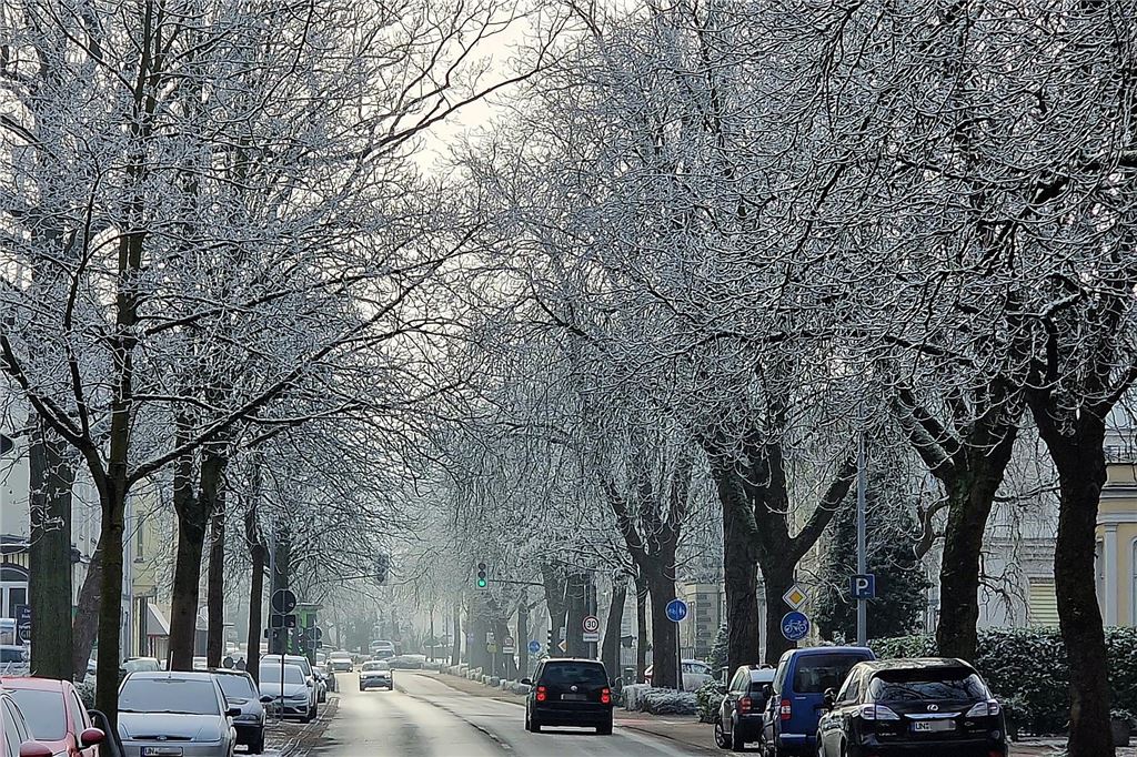 Nachdem sich das Wetter am Sonntag von seiner besten Seite gezeigt hatte, wurde es nachmittags wieder neblig. Wir waren in Königsborn unterwegs.