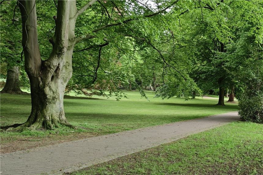 Gradierwerk-Streit: Kritiker fürchten auch ohne Fällungen Baumschäden Neben dem Baumbestand prägen auch große Wiesen das Bild im Kurpark in Königsborn.