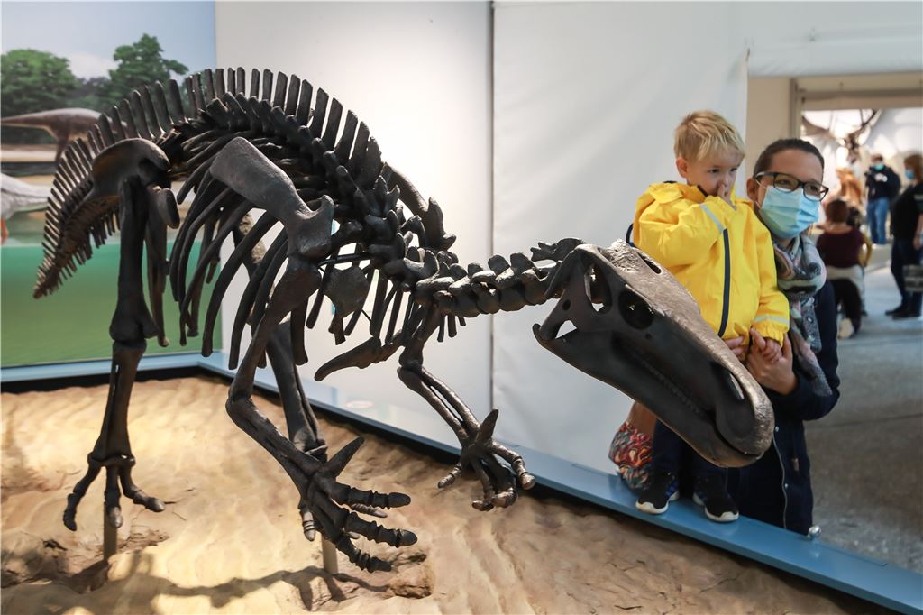 Naturmuseum neu eröffnet: Höhepunkte der Ausstellung im Video-Rundgang Nina Senftleben und Sohn Mats hat es im Museum gut gefallen.