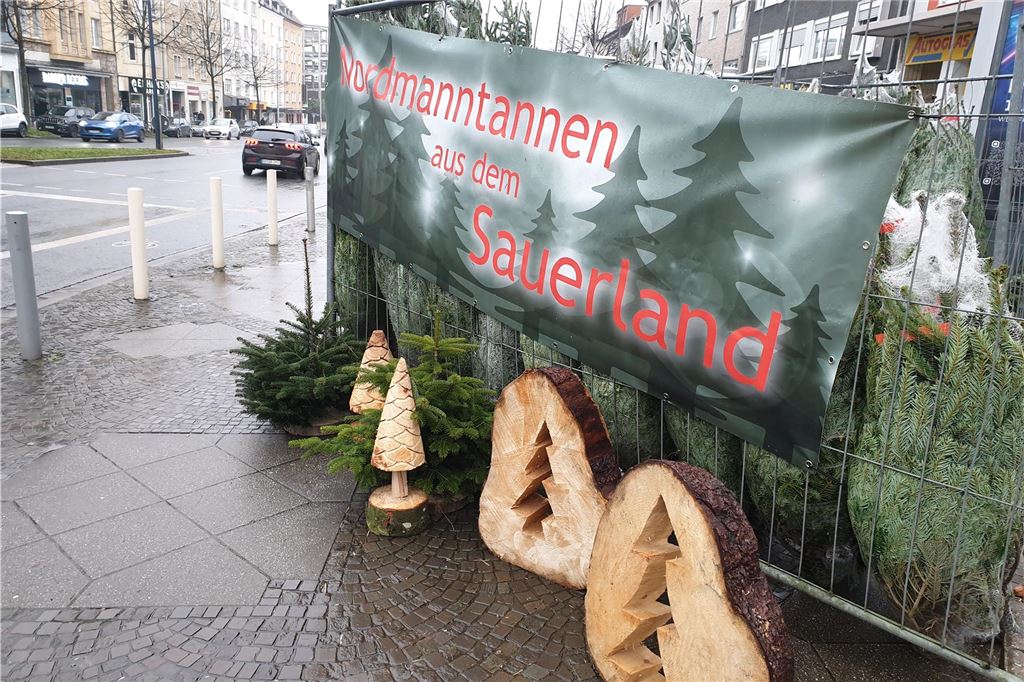 Das sagen Händler über das Geschäft mit den Weihnachtsbäumen Weihnachtsbaum-Verkauf an der Hohen Straße in Dortmund