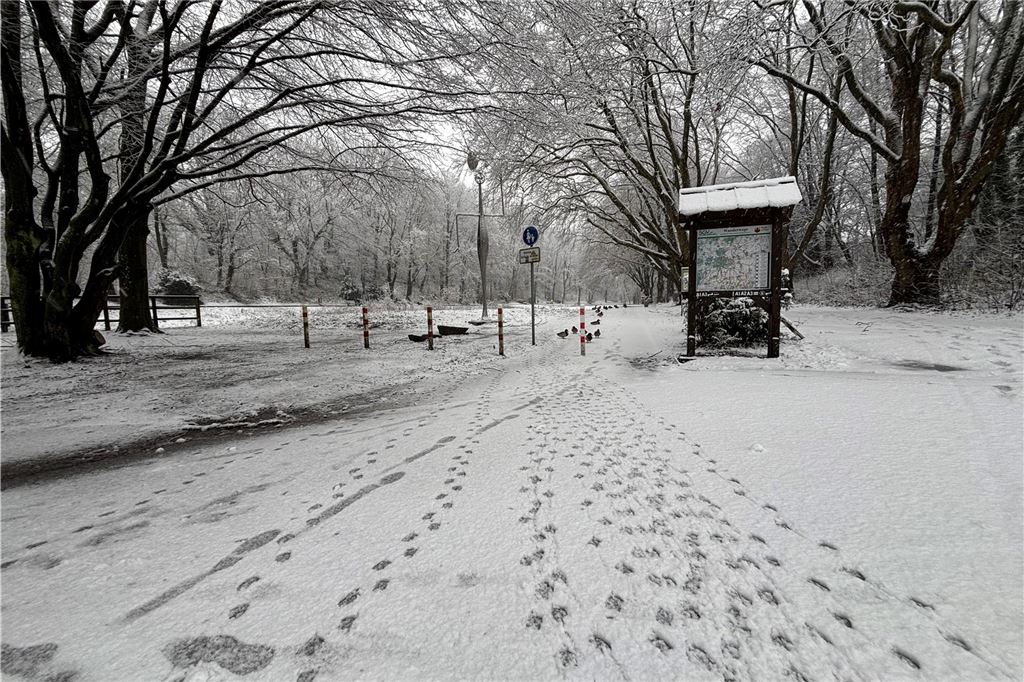 Schneespaziergang der anderen Art im Bornekamp in Unna: Die Fußspuren der Enten sind im Schnee deutlich zu erkennen.