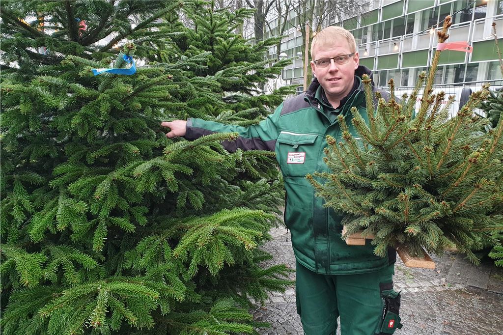 Das sagen Händler über das Geschäft mit den Weihnachtsbäumen Patrick Appelbaum verkauft Weihnachtsbäume am Sonnenplatz im Kreuzviertel