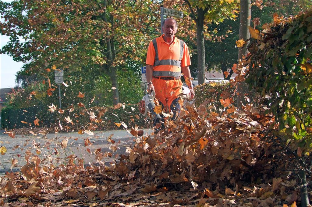 Herbstlaub: Wie Hauseigentümer Klagen vermeiden und die Natur schützen Sie sind laut und aus verschiedenen Gründen schädlich für die Natur, Laubbläser kommen trotzdem auch im Privatbereich zum Einsatz, da sie günstig zu kaufen sind.
