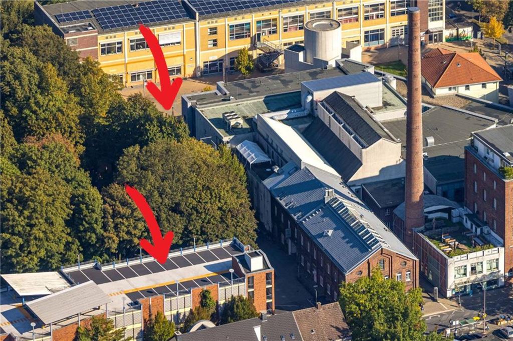 SPD dringt auf Suche nach weiteren Alternativstandorten für Tauben Sind der Platz der Kulturen oder das oberste Deck des Parkhauses mögliche Alternativstandorte für ein Taubenhaus?