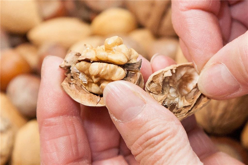Walnüsse öffnen leicht gemacht: Sechs Methoden im Überblick Sind Schale und die dünne Haut um das Innere der Walnuss entfernt, sollte sie innen hell sein - das zeigt, dass sie frisch ist.