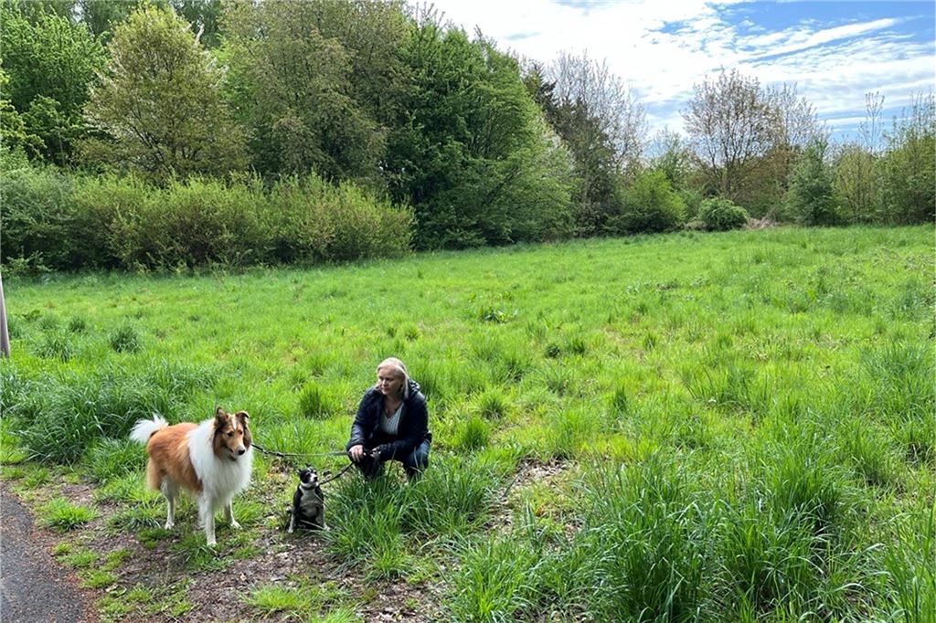 Hundeverein vor Gründung: „Zahlen viel Steuern, aber Hunde kommen zu kurz“ Cordula Jäschke aus Unna mit ihren beiden Hunden auf einer Wiese in Uelzen.