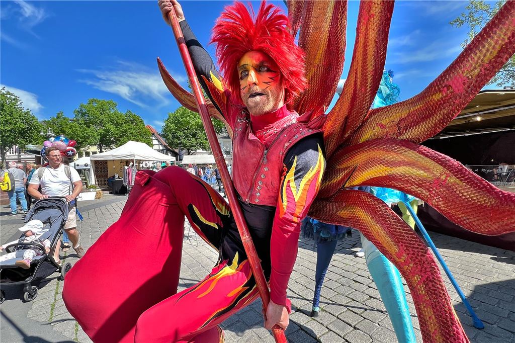 Bunte Stelzenläufer.