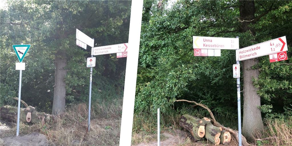 Rache am Landschaftsschutz? Unbekannte zerstören Schild im Bornekamp Suche den Fehler: Das linke Bild ist ein paar Tage alt, das rechte stammt von diesem Montag (15. August). Das Schild mit dem Landschaftsschutz hat irgendjemand entfernt.