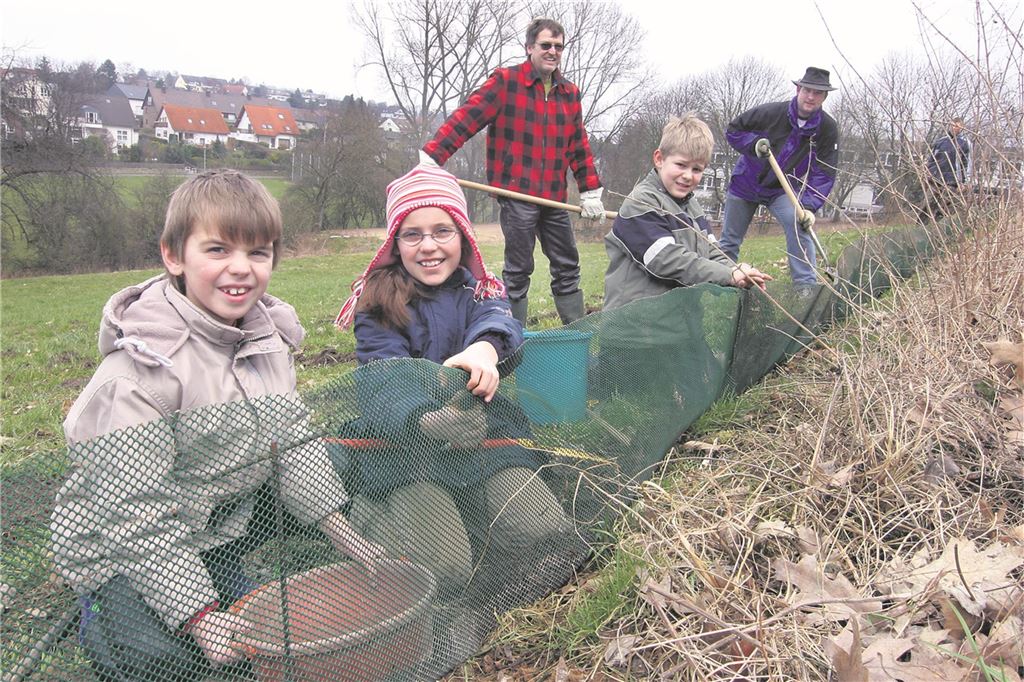Krötenwanderung auf neuen Wegen: Naturschauspiel im Bornekamp Kinder der Liedbachschule in Billmerich sammeln morgens vor der ersten Stunde Amphibien ein, die am Krötenzaun hinter der Grundschule auf einen sicheren Transport über die Straße warten.