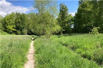 Trampelpfad entlang der Emscher. Die PARTEI möchte den gerne aufwerten, die Anwohner haben Sorgen, ist die Wiese doch absichtlich verwildert worden.