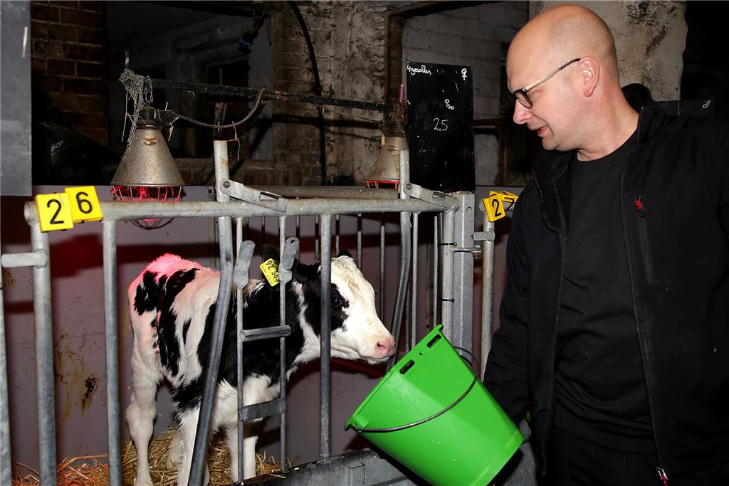 Halterner Landwirte ärgern sich über Sparpläne der Regierung Landwirt Tobias Schlüter aus Haltern füttert ein Kalb.