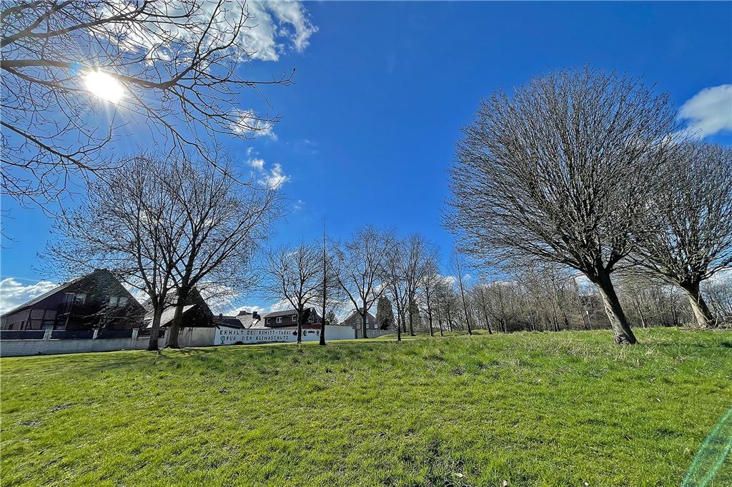Große Pläne für Kiwitt-Park: Beispiel Weddinghofen soll Schule machen Eine Wiesenfläche mit Bäumen bei sonnigem Wetter: Der Kiwitt-Park in Bergkamen.