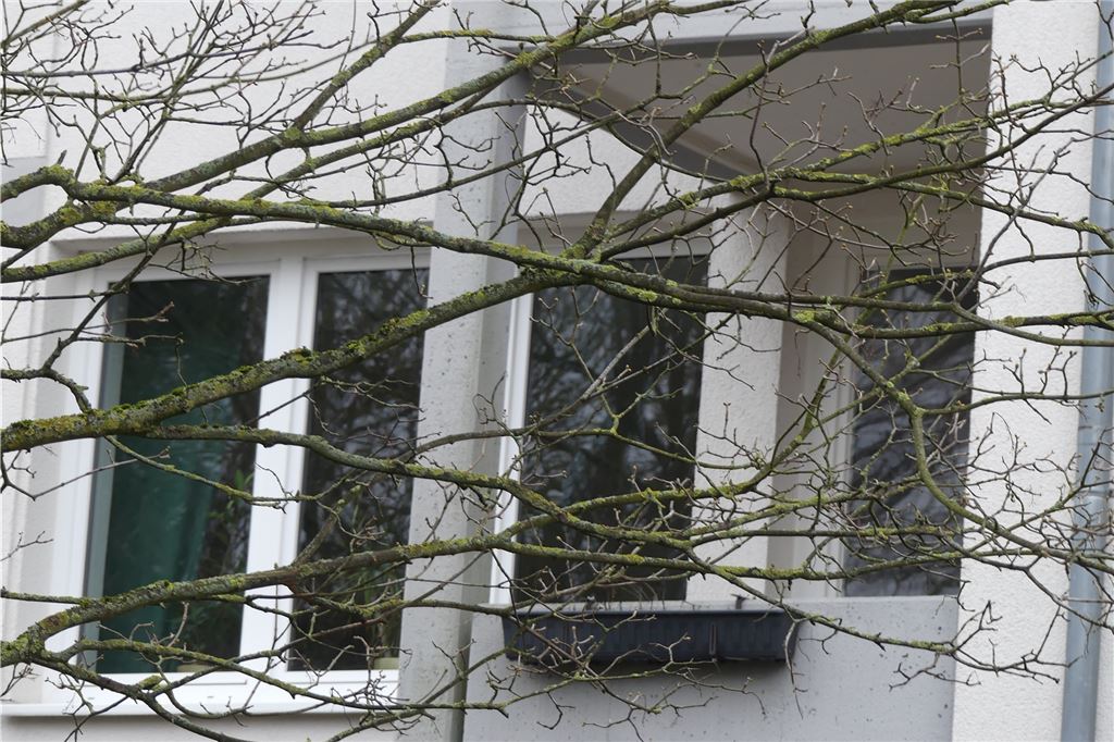 Rückkehr aus Bangladesch? Anisha (7) wünscht sich Fischstäbchen Haus in Villigst