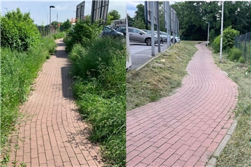 Vor wenigen Tagen war der Radweg noch zugewachsen. Nach unserer Anfrage bei der Stadt wurde der Bewuchs direkt entfernt.