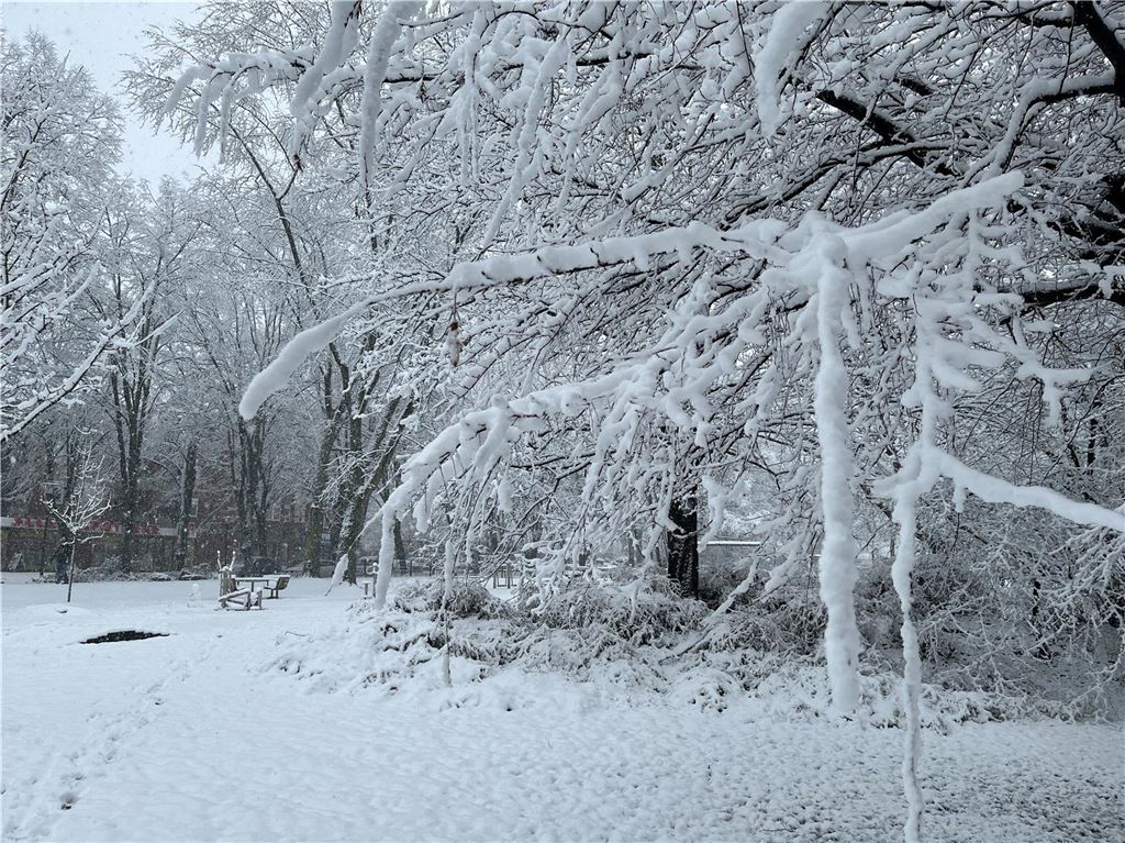 Weißer Winter in der Emscherquellgemeinde.