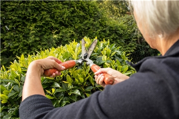 Wenn der Garten für den Frühling vorbereitet wird, fällt einiges an Grünschnitt an. In Holzwickede wird dieser nun in einem Testlauf von der GWA abgeholt. Doch das Interesse der Holzwickeder hält sich in Grenzen.