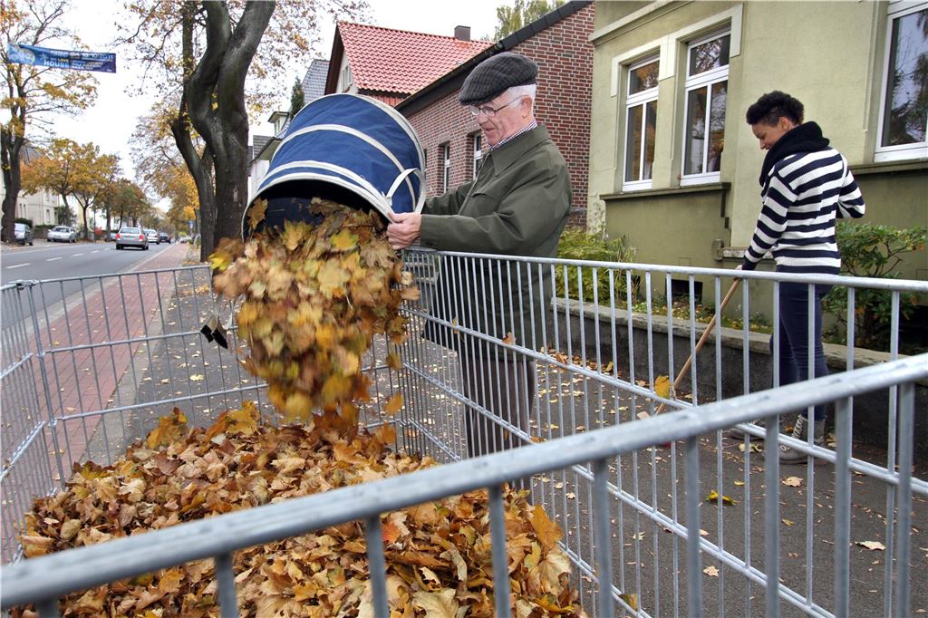 Duell mit dem Laubsauger: Stadt ruft ihre Bürger zur Ordnung Wer einen der städtischen Laubgitterkörbe in der Nähe hat, muss weder zum Servicehof fahren noch die eigene Biotonne belasten.