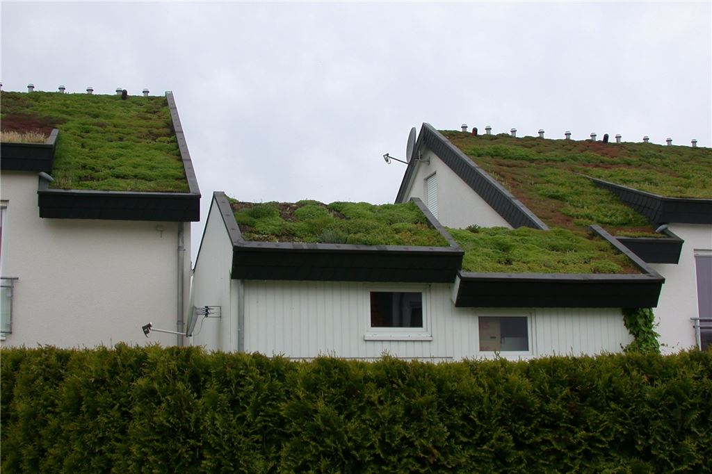 Dachbegrünung: Wie kommen Kräuter, Moos und Co. aufs eigene Dach? Wer glaubt, dass nur ein Flachdach begrünbar ist, wird durch solche Bilder eines Besseren belehrt.