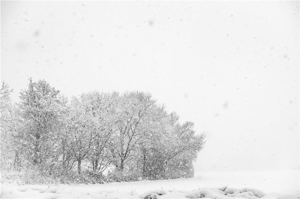 Wintereinbruch im Kreis Unna am 9.1.2025: Eindrücke aus dem verschneiten Raum Unna.
