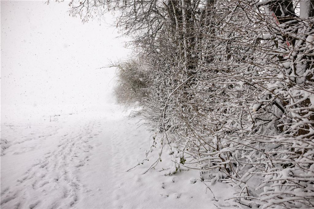 Wintereinbruch im Kreis Unna am 9.1.2025: Eindrücke aus dem verschneiten Raum Unna.