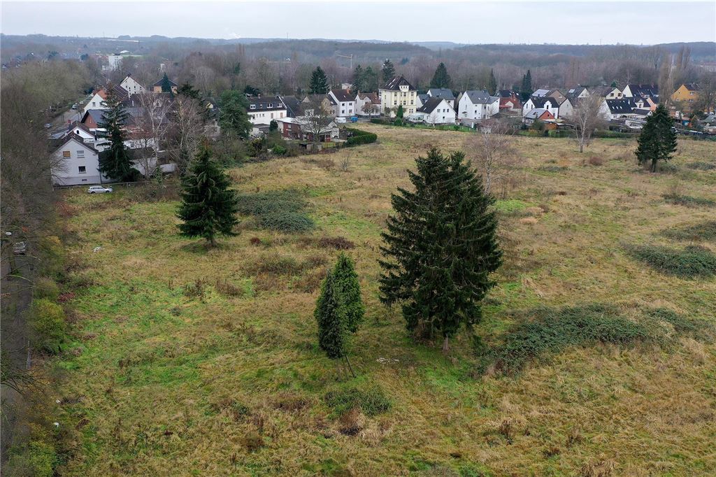 Baugebiete: Aktueller Stand und welche Schritte jetzt anstehen Große Rasenfläche in Lünen-Süd